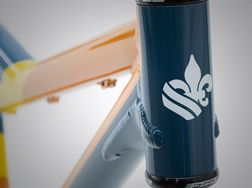 Custom Painted Fandango Tandem Mountain Bike